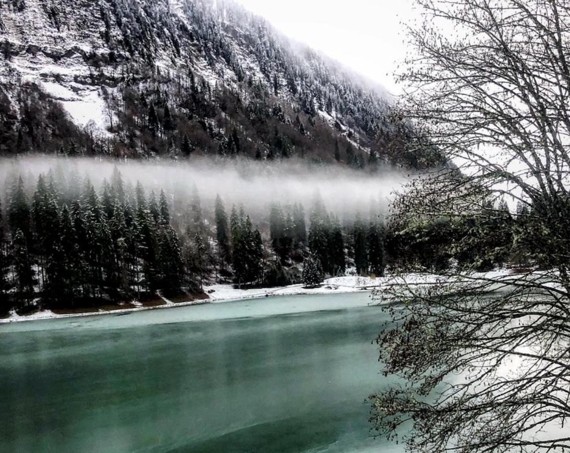Micro-Lodge, Le Petit Nid D'Amour Montriond Zewnętrze zdjęcie