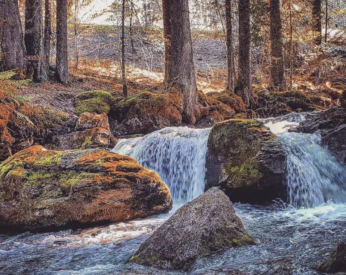 Micro-Lodge, Le Petit Nid D'Amour Montriond Zewnętrze zdjęcie