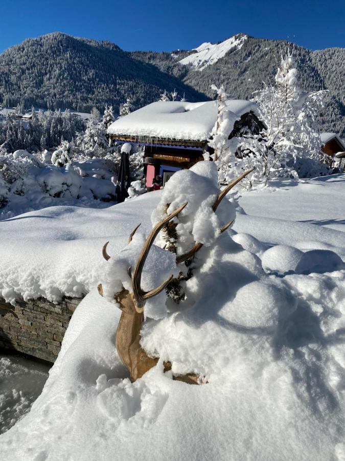Micro-Lodge, Le Petit Nid D'Amour Montriond Zewnętrze zdjęcie