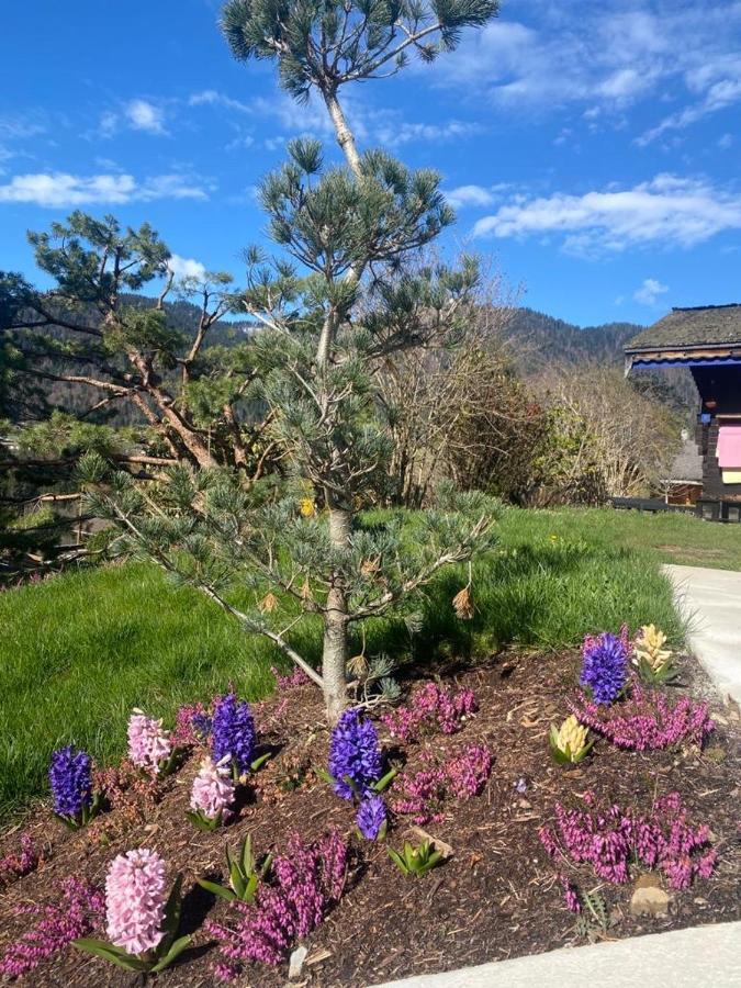 Micro-Lodge, Le Petit Nid D'Amour Montriond Zewnętrze zdjęcie