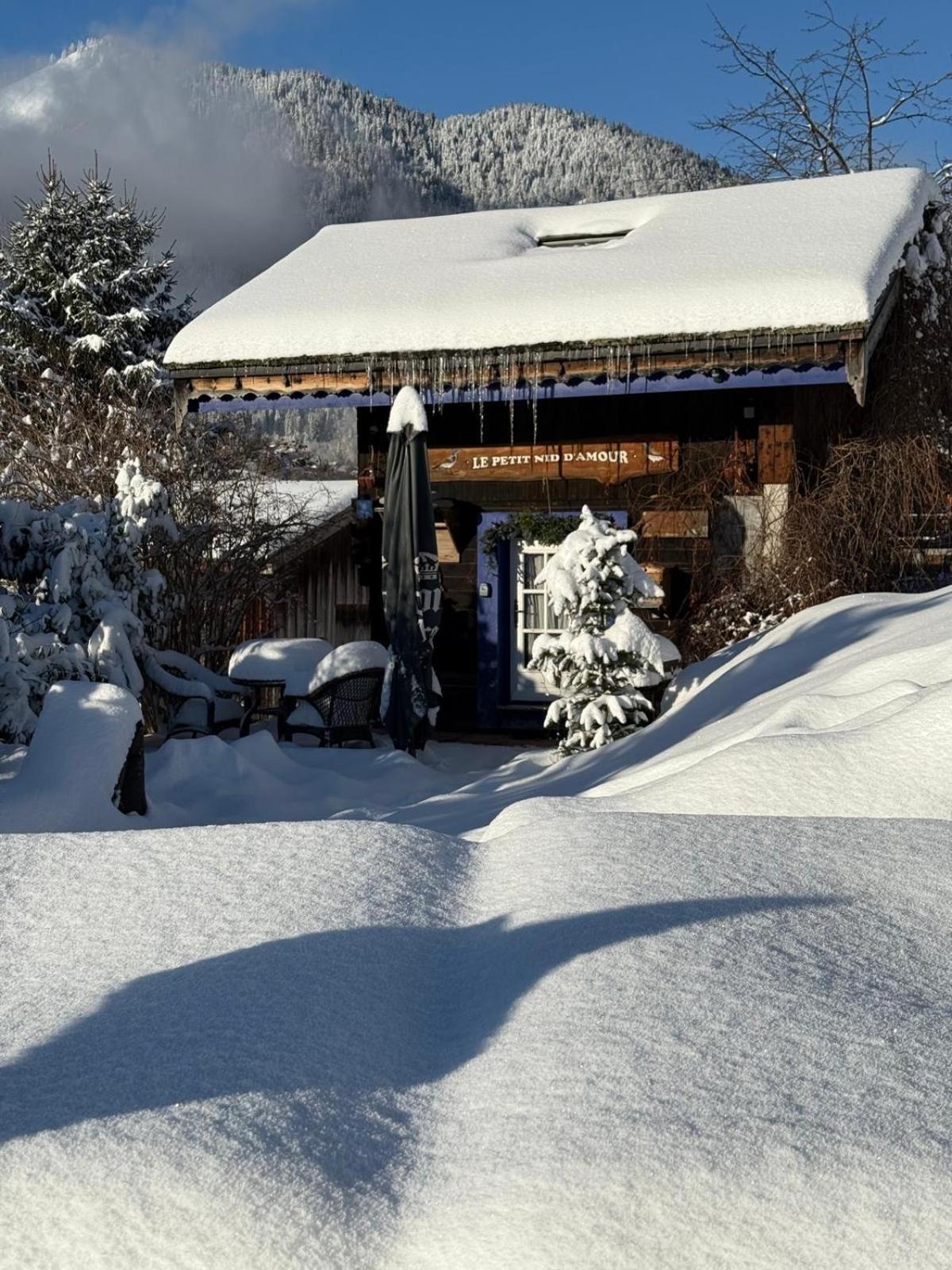 Micro-Lodge, Le Petit Nid D'Amour Montriond Zewnętrze zdjęcie