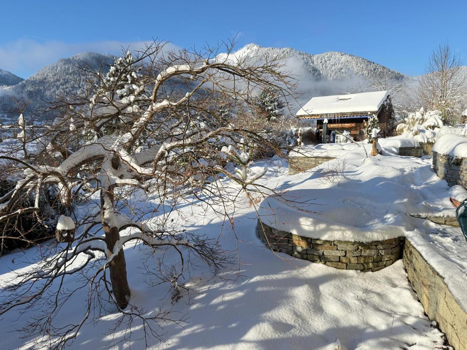 Micro-Lodge, Le Petit Nid D'Amour Montriond Zewnętrze zdjęcie