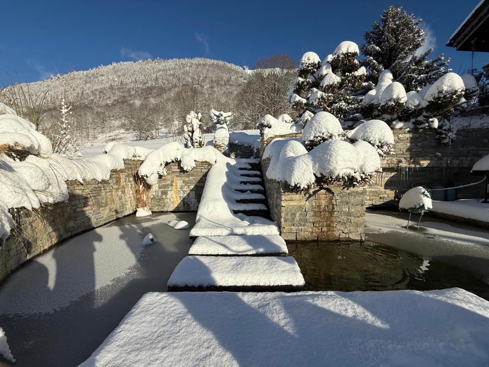 Micro-Lodge, Le Petit Nid D'Amour Montriond Zewnętrze zdjęcie
